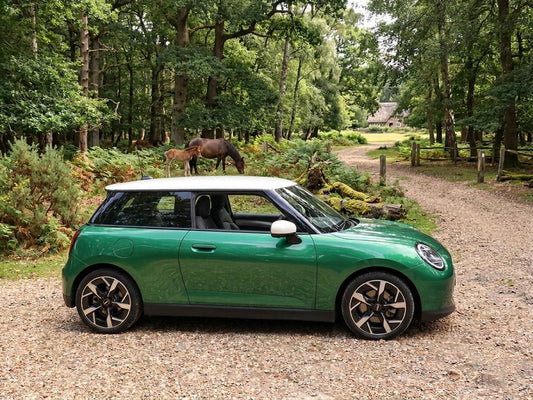 New dual controls for EVs helping to lead industry change